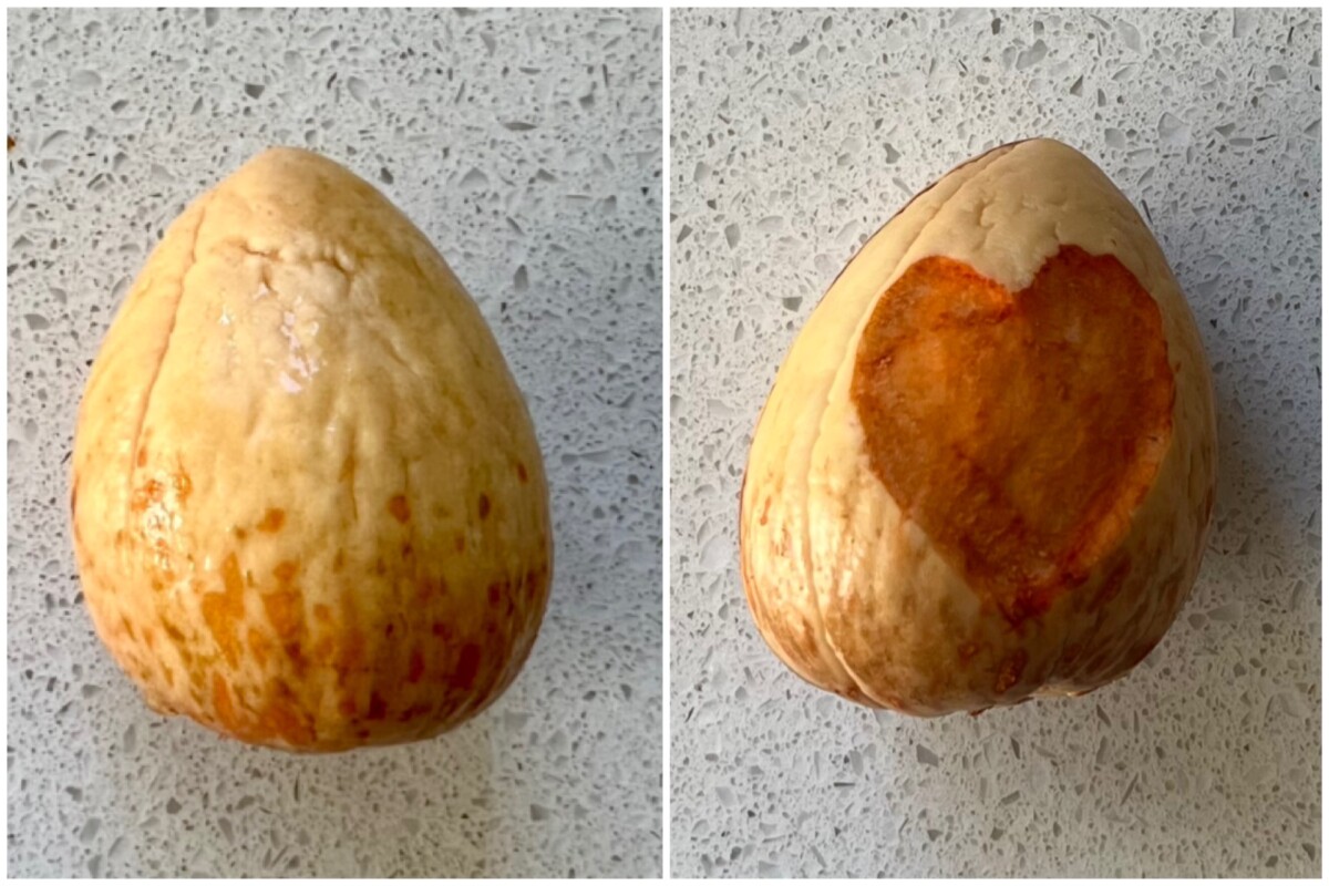 Avocado pit marking